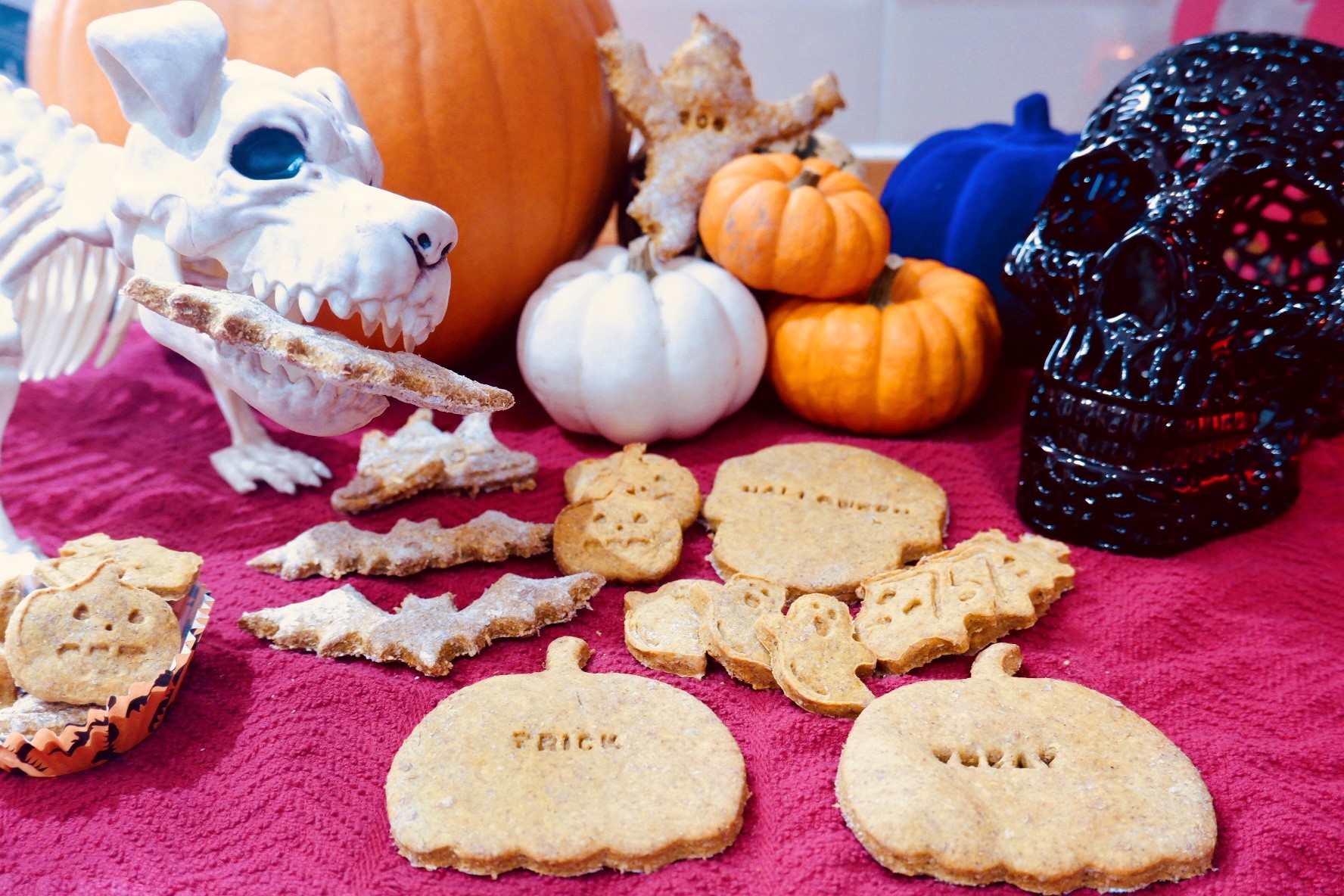 Halloween Dog Treats - Homemade Spooky Snacks - The Dog Blog